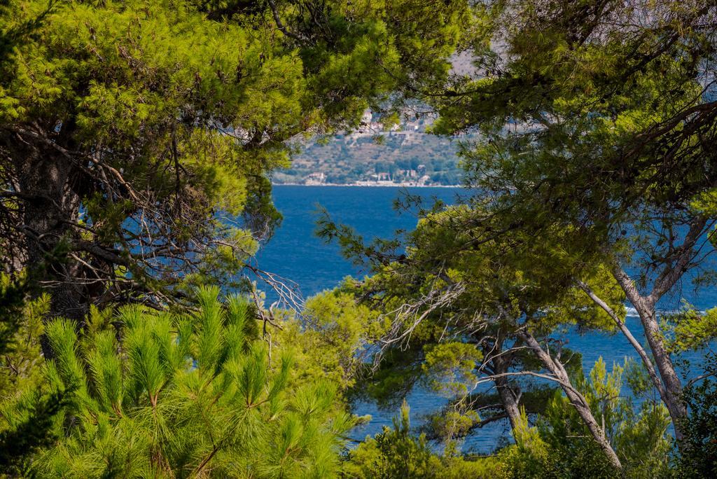 Apartment Dora Cavtat Exterior photo